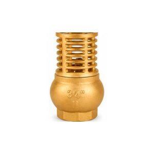 Válvula Canastilla Bronce CIM